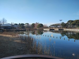 千葉県立柏の葉公園中央部の池と県立柏の葉公園総合競技場の外観写真です。