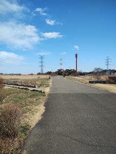 柏市にある「柏ふるさと公園」内のサイクリング・ランニング・ウォーキングコース(道路)の画像です。