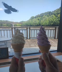 松戸市内にある「21世紀の森と広場」カフェテラスのバニラと巨峰のソフトクリーム、窓ガラス越しに中央池が移り込んでいます。