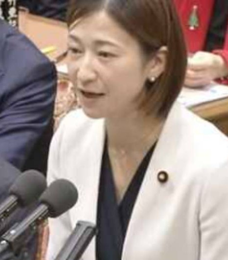 立憲民主党、酒井菜摘議員、補正予算国会質問時の写真です。
