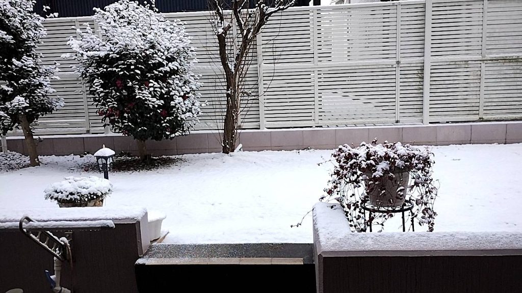 自宅マンション庭の雪の画像です。