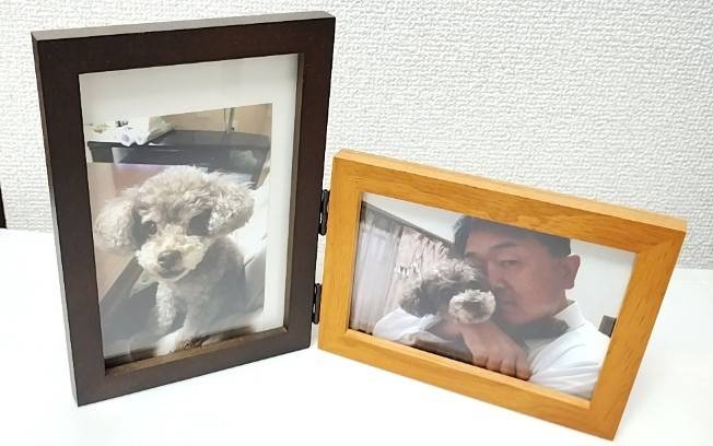 愛犬のトイ・プードル「モカちゃん」と私のフォトフレームに入った写真です。