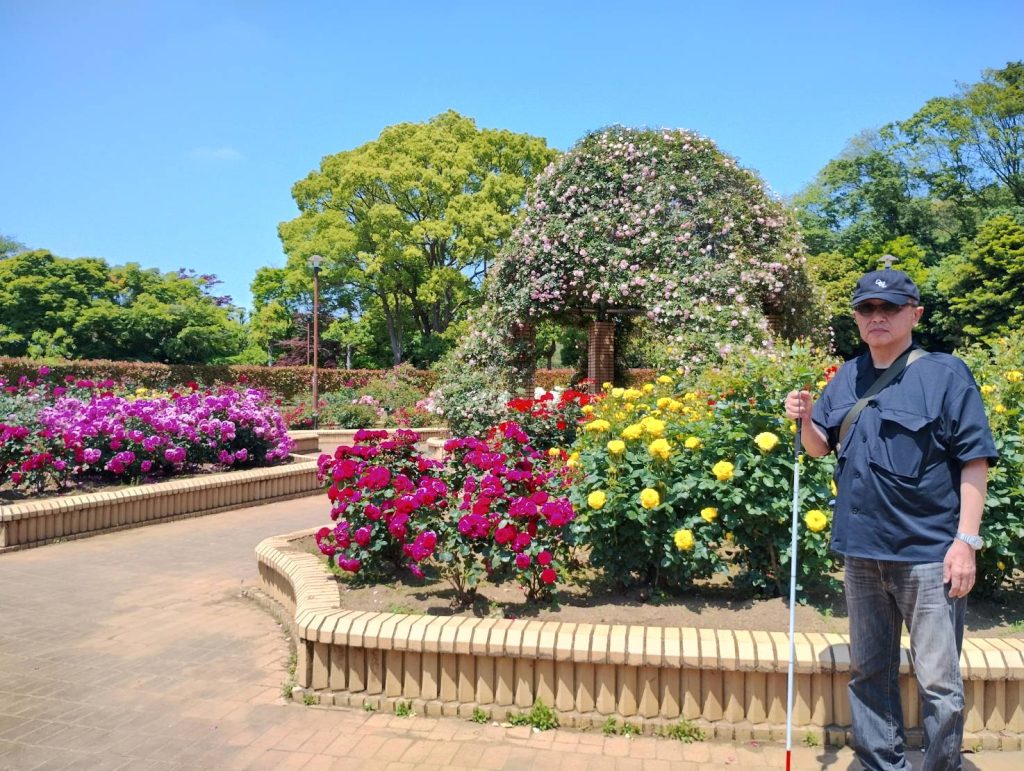 千葉県立柏の葉公園内にある、色とりどりの満開のバラ園のバラの写真と、男性視覚障害者が白杖を持って立っている画像です。